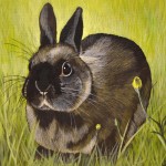 Black Bunny in Grass Painting