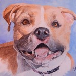 Painted Dog Portrait