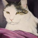 Cat Portraits