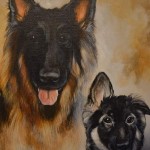 Dog Portraits