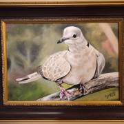 mourning-dove-framed-painting