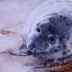 seal painting