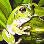 treefrog painting