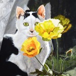 white black cat portrait