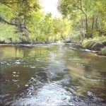 Woodland Creek Painting