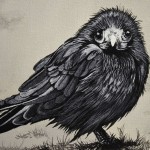 baby-crow