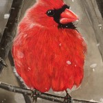 cardinal